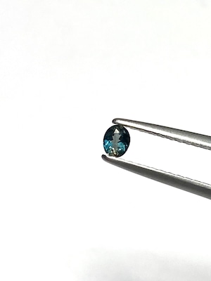 14.サファリン［No.HA-4474］