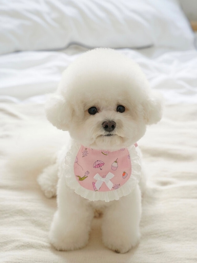 【即納】Baby Shou Shou Bib / chouchou&chourr