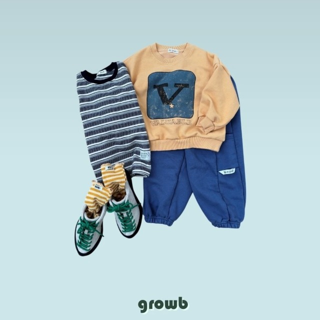 《送料無料》予約:Vトレーナー【growb】