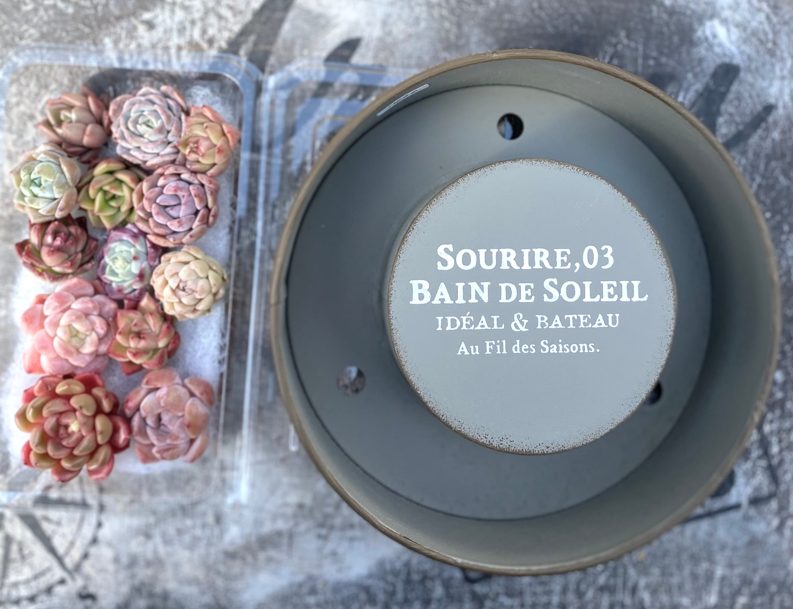 ブリキリース鉢セット、グレー | aruru