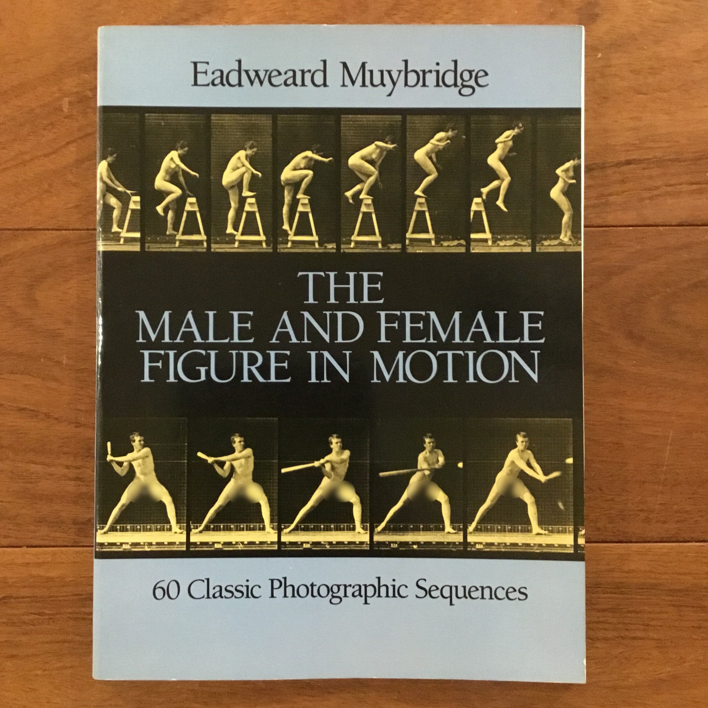 A STUDY IN FETISHISMS Vol.1 | Flying Books