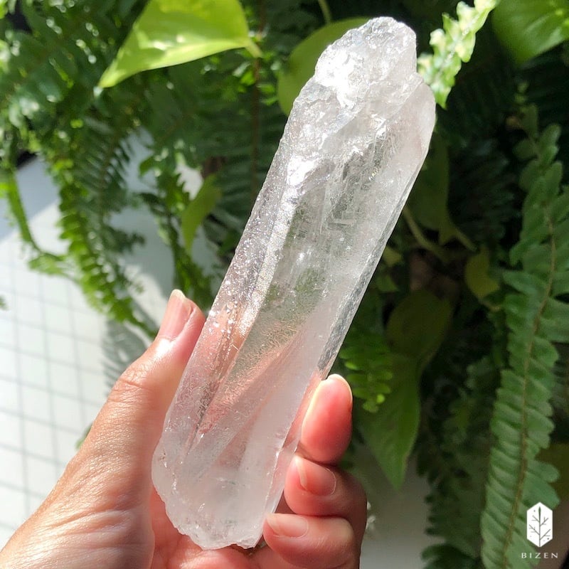 ピュアレイ・ルーツ④クリアー | BIZEN Crystals