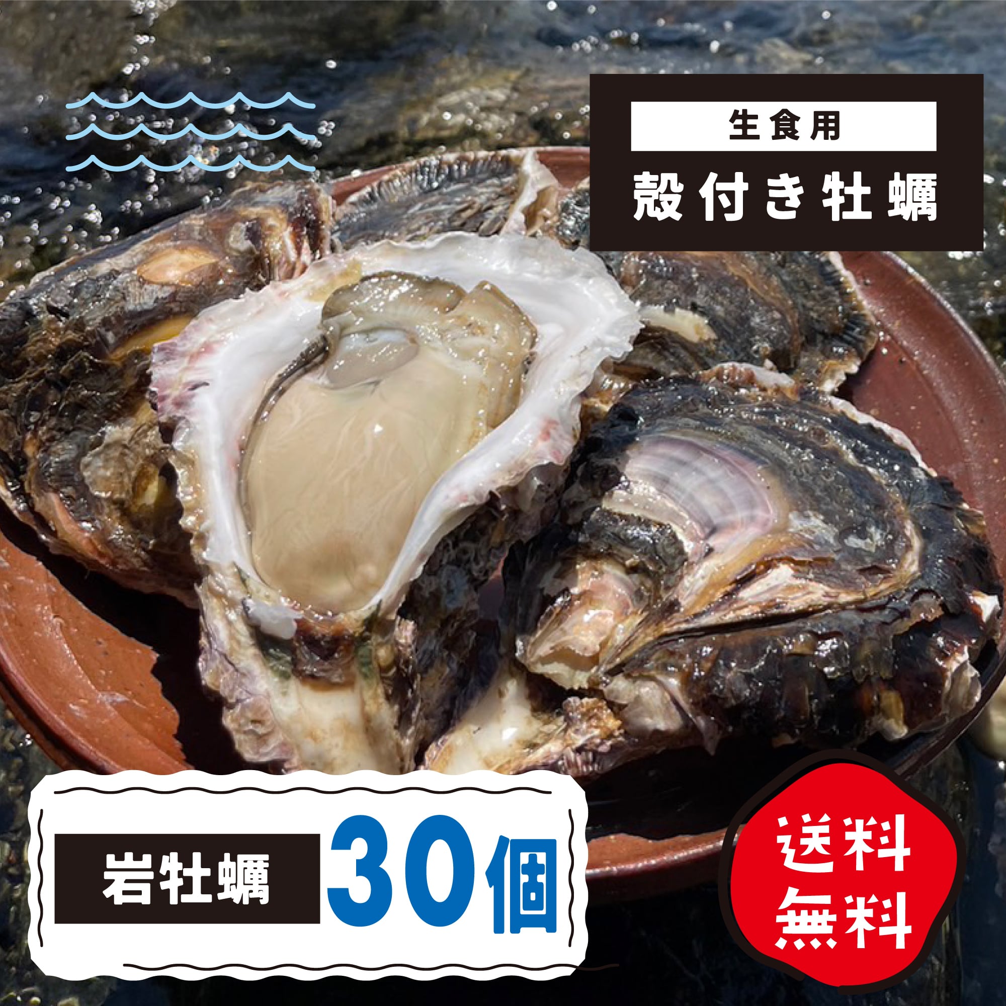 送料込!岩牡蠣(殻付き)30個生食用