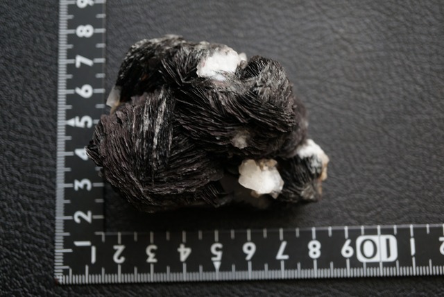 アイアンローズ/クォーツ Iron Rose/Quartz 1909