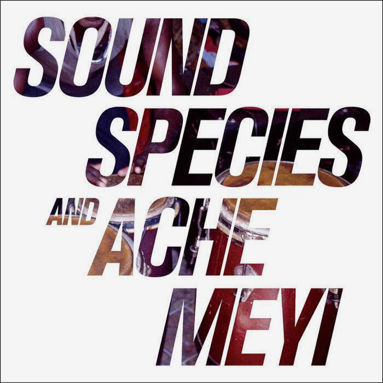 【CD】Soundspecies & Ache Meyi - Soundspecies ＆ Ache Meyi