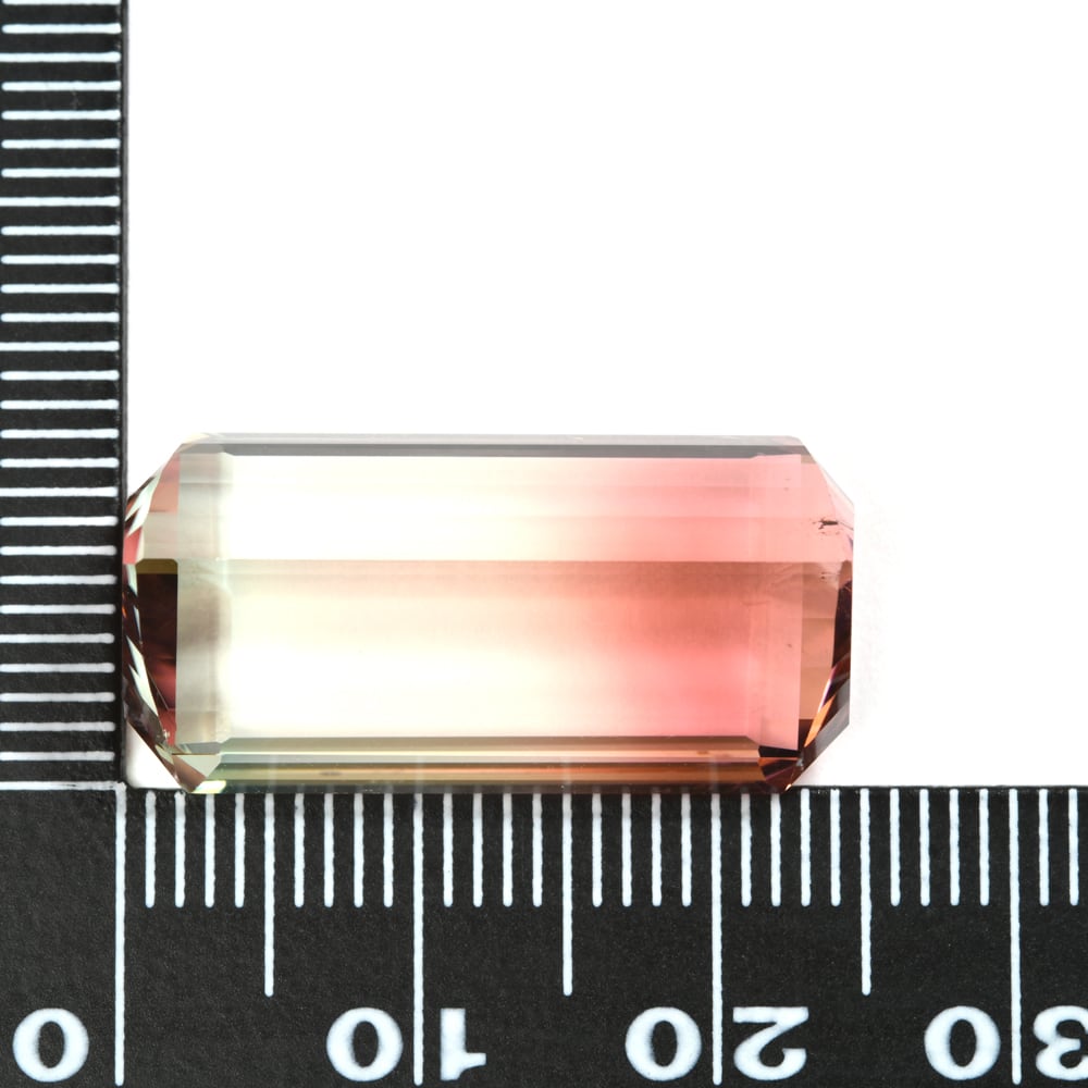 バイカラー・トルマリン 26.066ct #JWS1619 | EBiS GEM