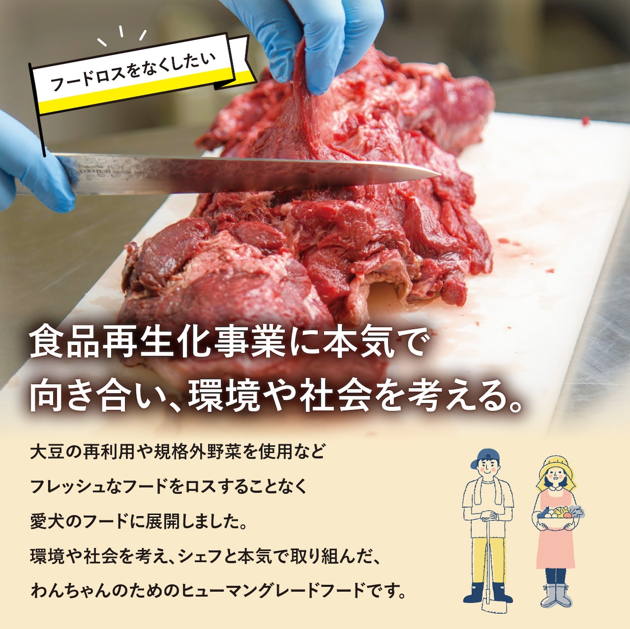 〈ドッグフード・健康補助食品〉牛肉と大豆のグラタン