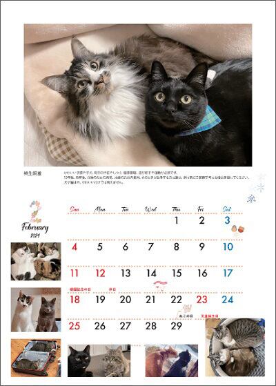 ねこカフェ猫ちゃんの家　2021カレンダー2冊セット