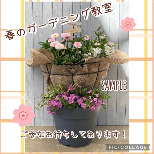 【2026年 3月のフラワーレッスン】"春を重ねるダブルコンテナ(fl2026-03-21)