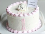 【冷凍発送】 10月インユースタンダードケーキ