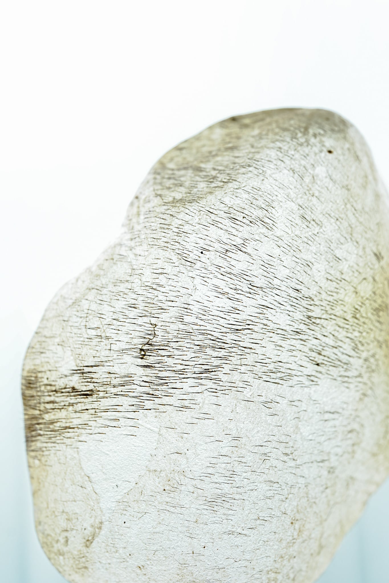 Mikio Ishiguro / Untitled | MATOYA