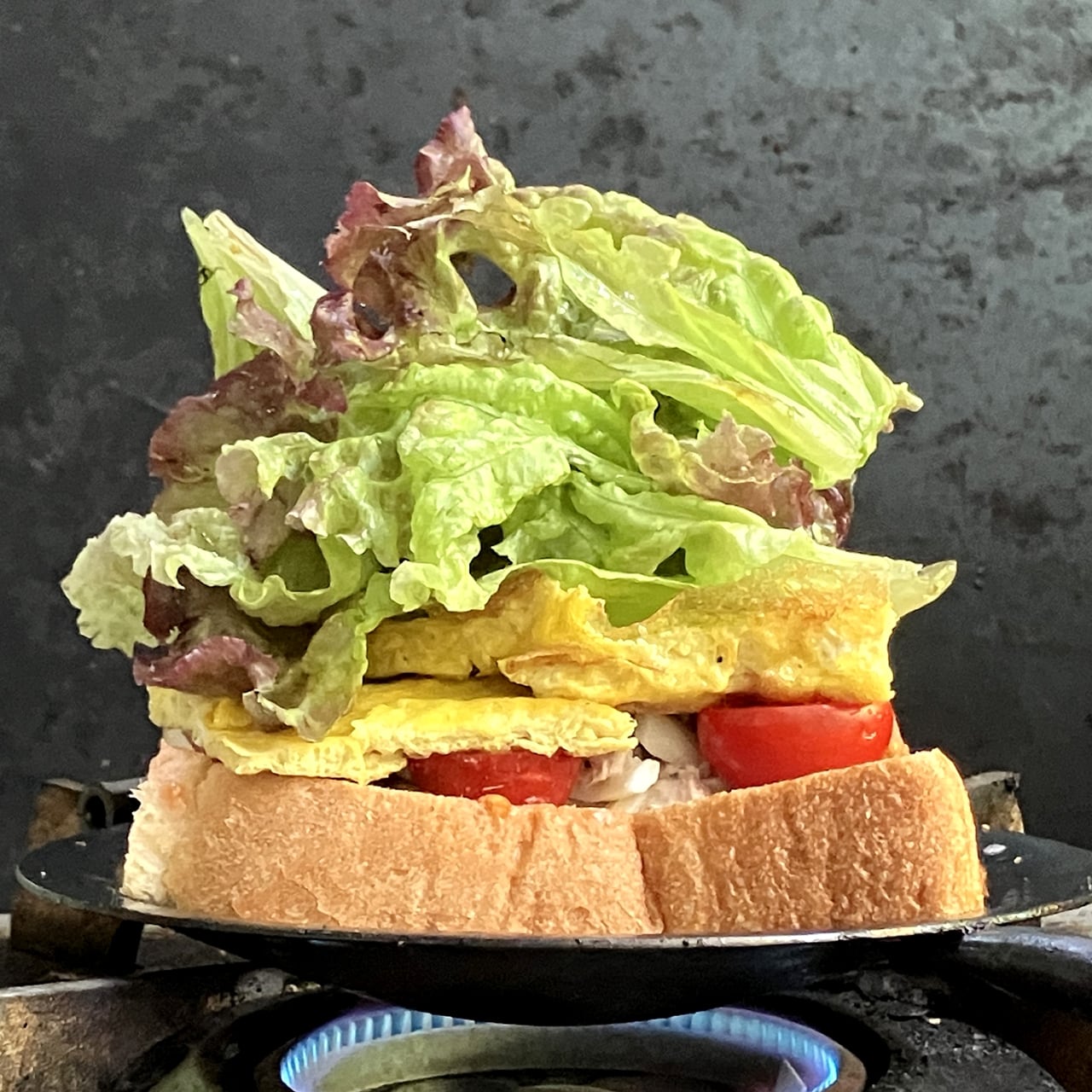 UFOパン ホットサンドメーカー ミニフライパン 両面焼き 直火専用 18cm UFOパン】ホットサンドメーカー アウトドア用ミニフライパン キャンプ