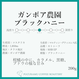 コスタリカ　ガンボア農園　ブラックハニー【シティロースト】250g