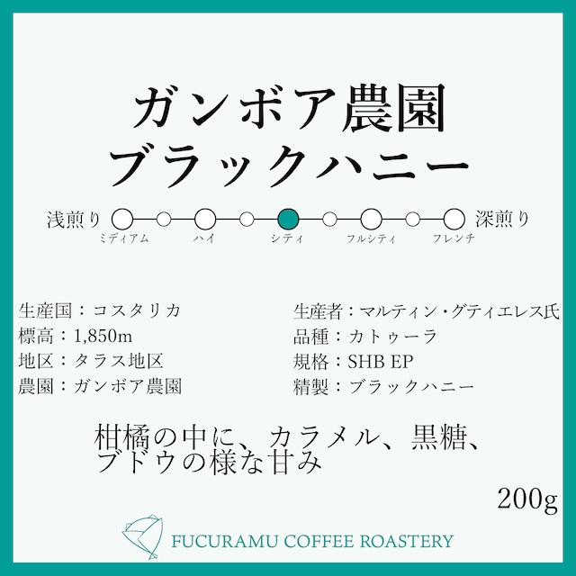 コスタリカ　ガンボア農園　ブラックハニー【シティロースト】250g