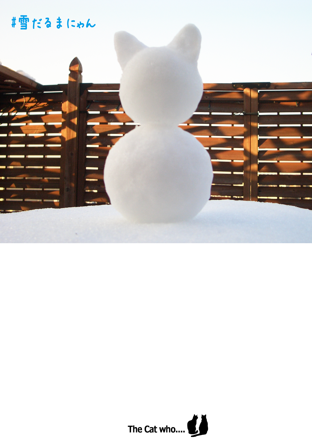 猫 ポストカード The Cat who....雪だるまにゃん1号 10x14.8センチ(cm)官製はがきサイズ 猫写真 はがき ねこ葉書 ネコハガキ Postcard アイとちび