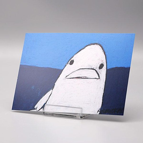 ポストカード ハガキ 沖野あゆみ 白イルカ アート デザイン 絵 絵画 インテリア okino-post-038