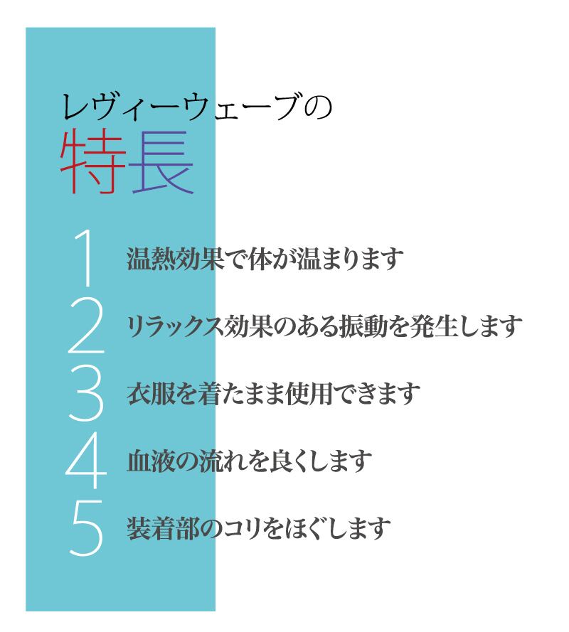 レヴィーウェーブ　生活科学研究会その他