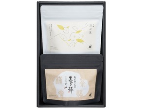 ティーバッグギフト２袋箱入り【壱之棒（雁ヶ音ほうじ茶)・和紅茶】お渡し用手提げ袋付き