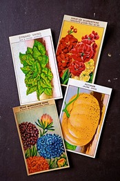 20s フランス 4set 膨満な花々と野菜たち 種子袋用ラベルp アンティーク