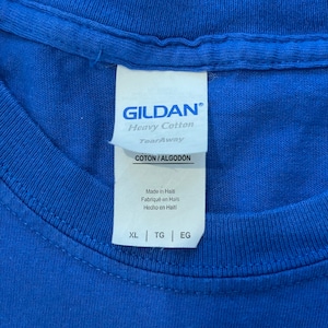【GILDAN】NBA INDIANA  PACERS インディアナペイサーズ バスケ プリント Tシャツ XL オーバーサイズ us古着