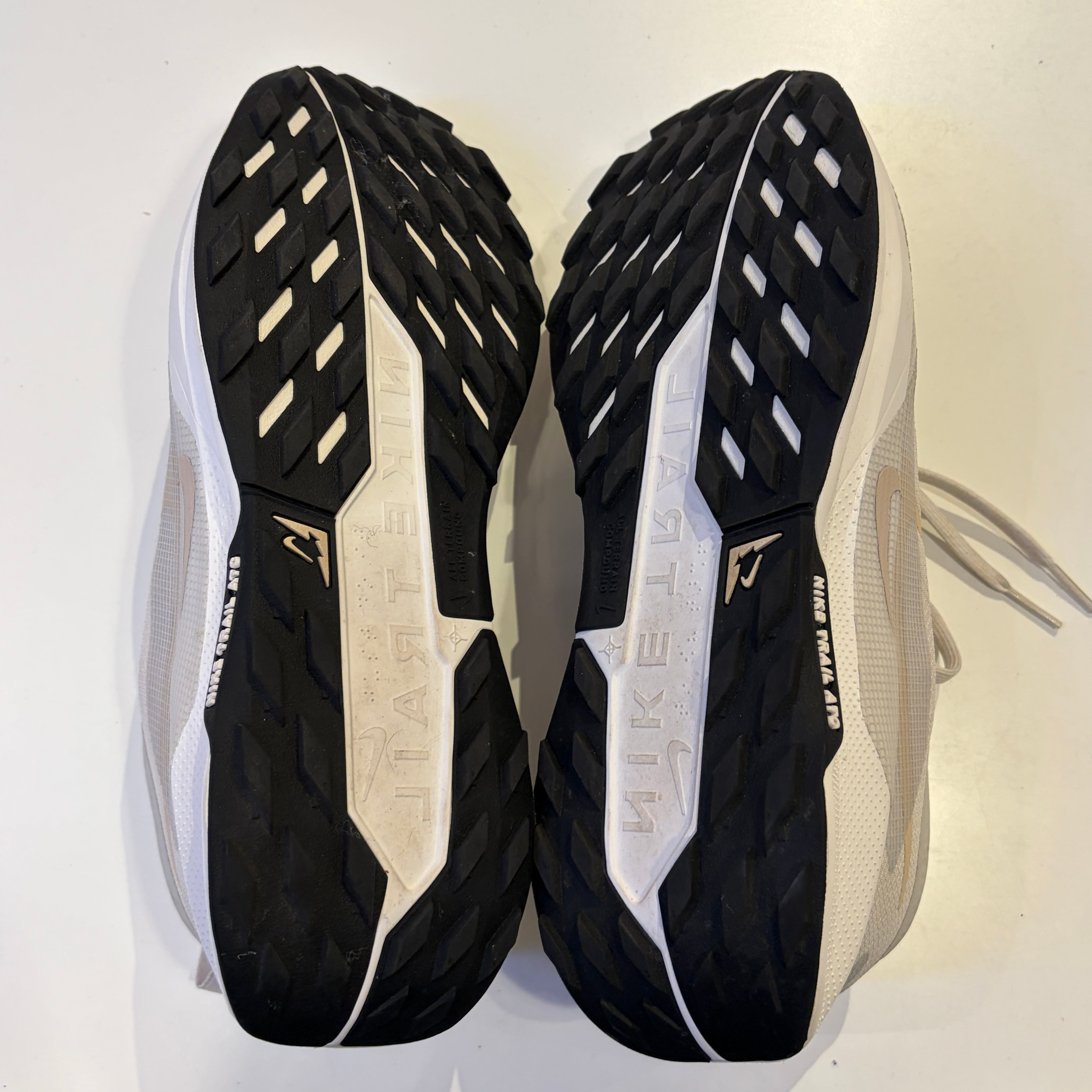 ⓃNIKE PEGASUS TRAIL 5 GTX 