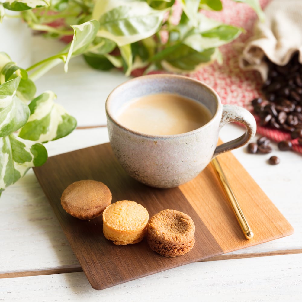 北欧　樹木モチーフ　薄平皿2枚セット 北欧 樹木モチーフ 薄平皿2枚セット