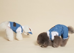【meaningless】GOSOMI DENIM Dress