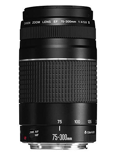 整備済み・フィルム付き】OLYMPUS PEN-D ハーフサイズカメラ 革 整備済み・フィルム付き】OLYMPUS PEN-D ハーフサイズカメラ 革