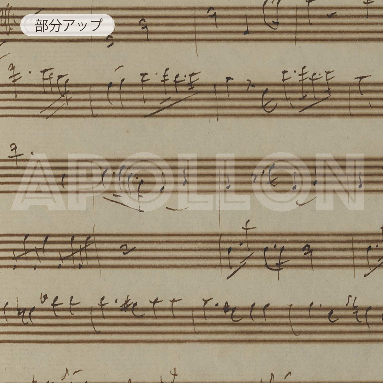 ハイドン 自筆譜アートフレーム：ロンドントリオ 第3番 Hob.IV:3