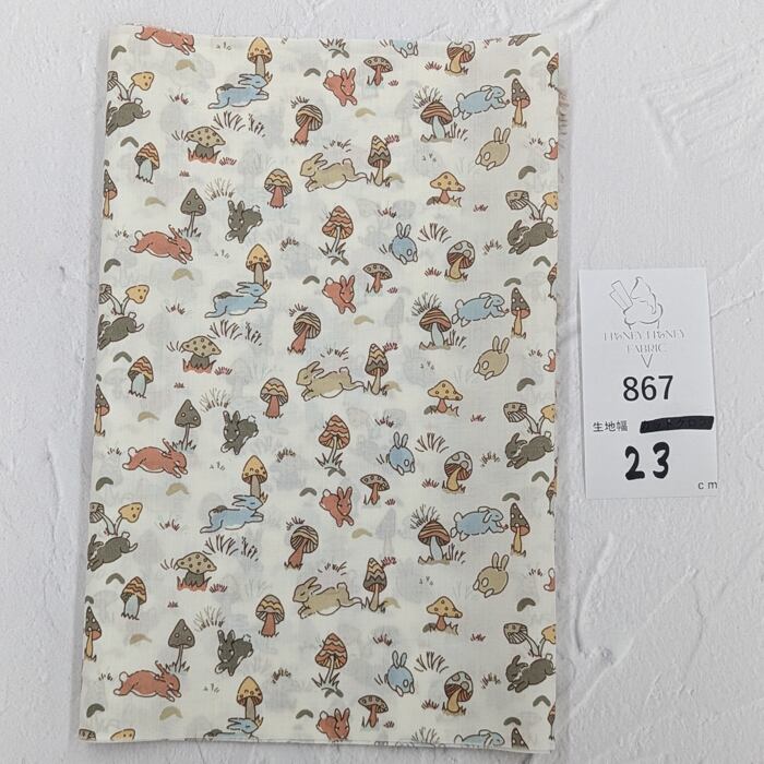 《867》◆輸入 リバティ LIBERTY タナローン カットクロス ハギレ