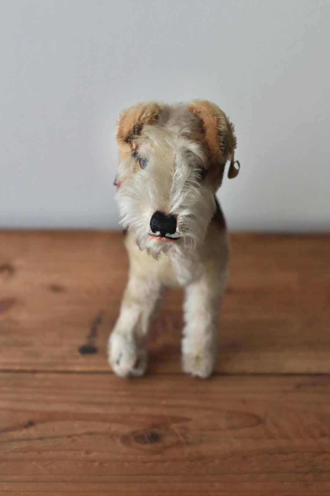 アンティーク シュタイフ 犬 ワイヤーフォックステリア Foxy 17㎝