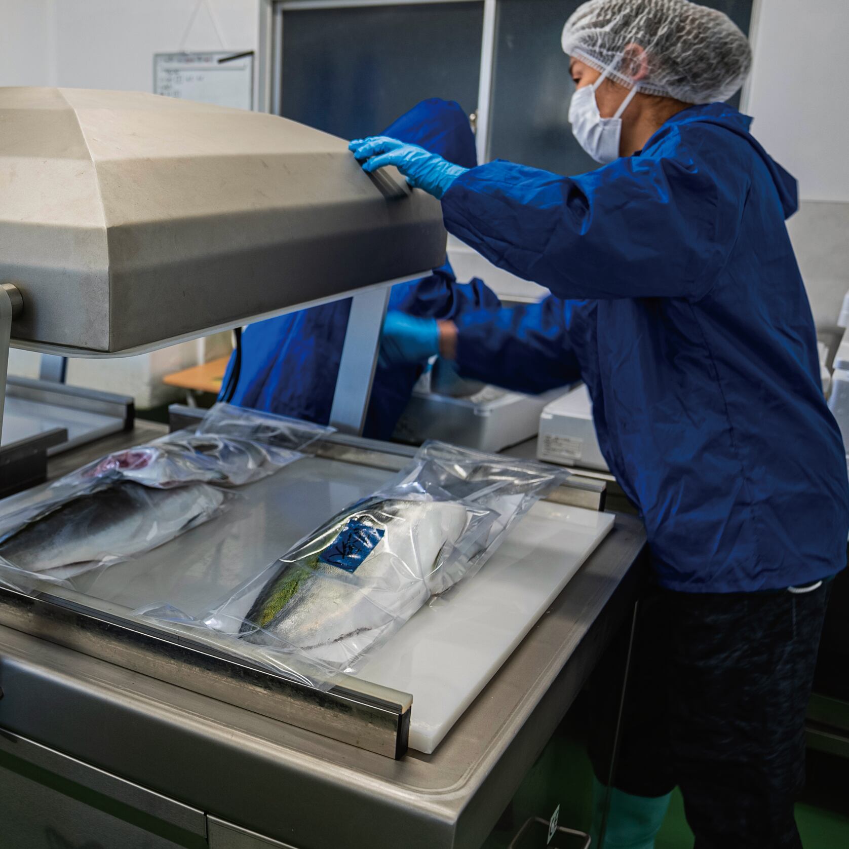 ！年末予約！[三枚おろし済１尾] 豊後ハマチ 若武者  ※送料込