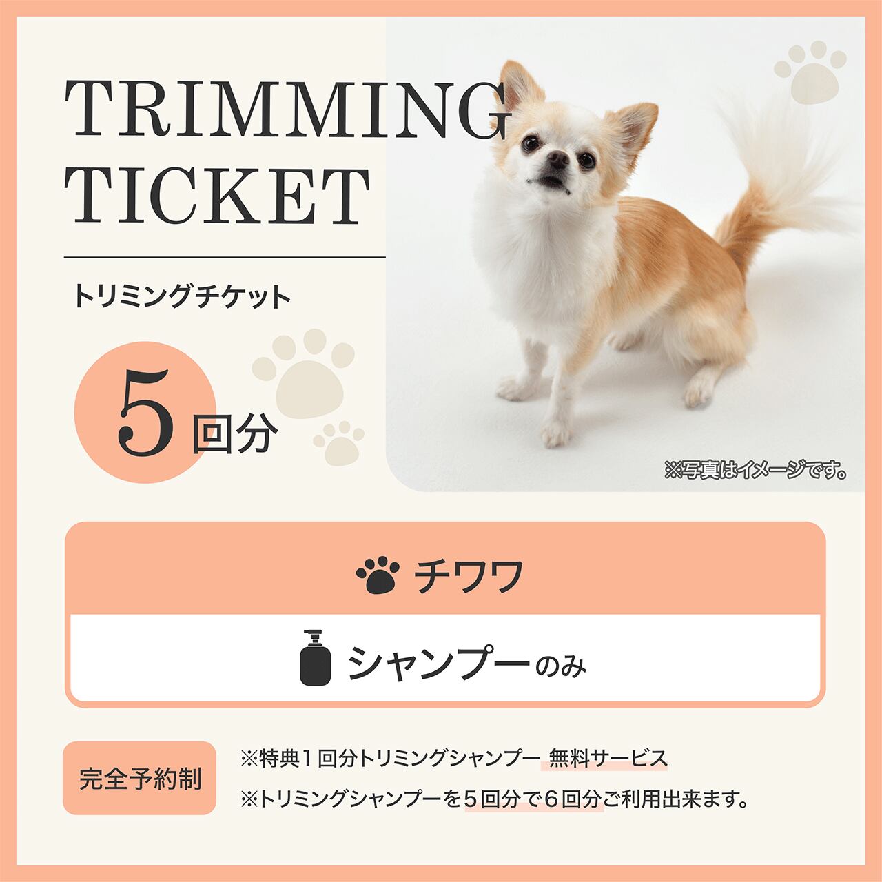 チワワ トリミングチケット (シャンプーのみ)