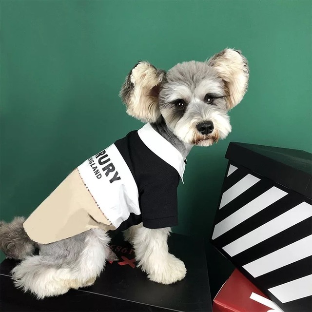 襟付きシャツ かっこいい 犬服 ドッグウェア ペット服 わんこ シック Bandp Dog Wear わんこのお洋服 犬服 ペット服