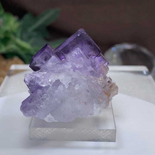 4.結晶美☆透明度あり☆パープルフローライト原石クラスター