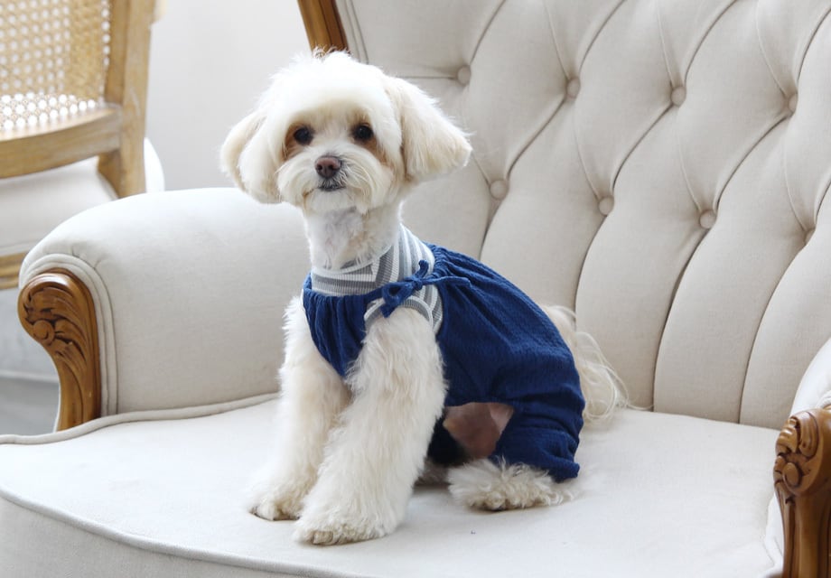 vienna romper S ~ XL 2color / 犬服 オールインワン 韓国犬服 ドッグウェア ロンパース ふんわり ボリューム感 ゆったり 袖なし つなぎ 小型犬中型犬 無地 シンプル