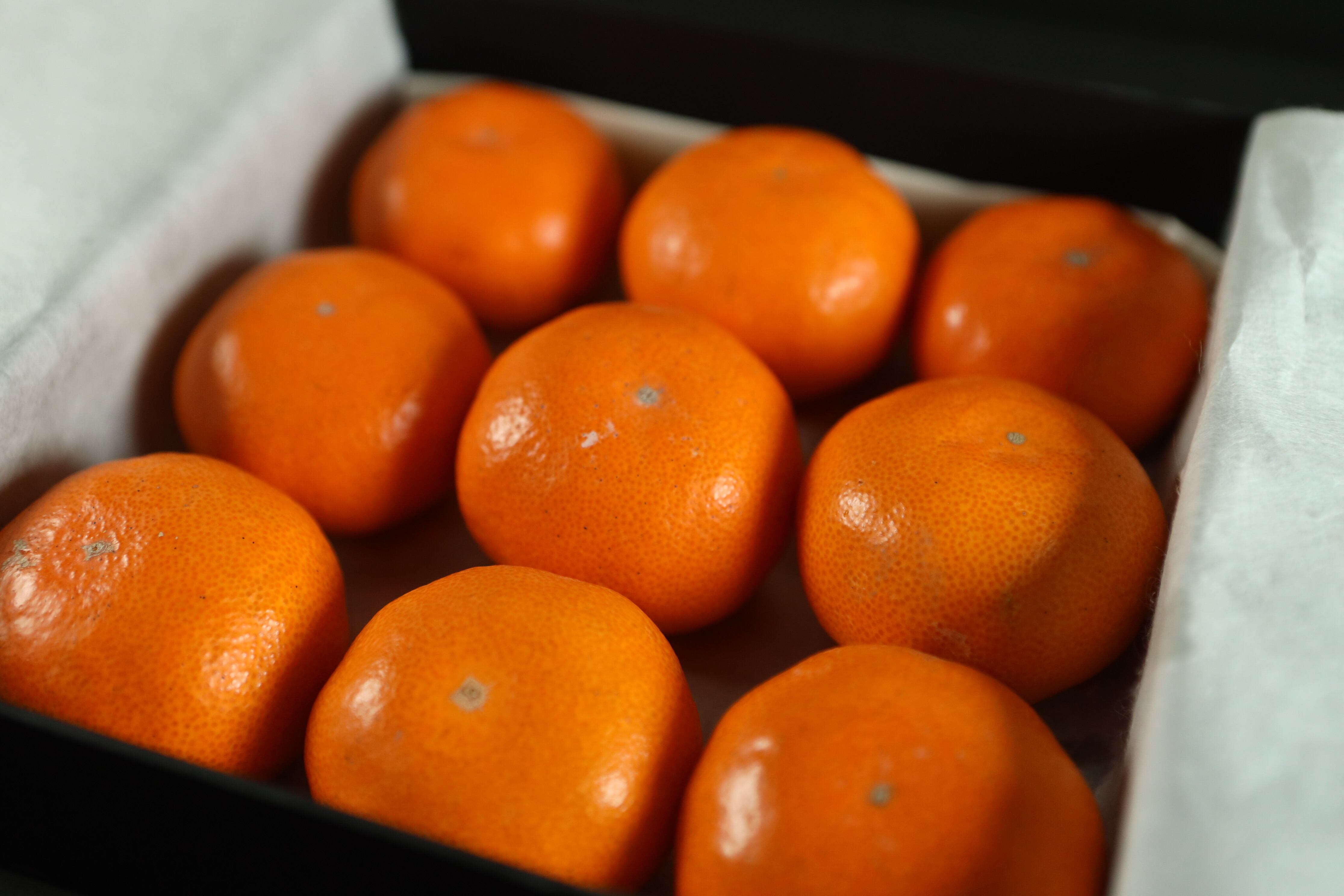 高級ブランドみかん】橙菓-9個入り | 最高級みかん：香菓
