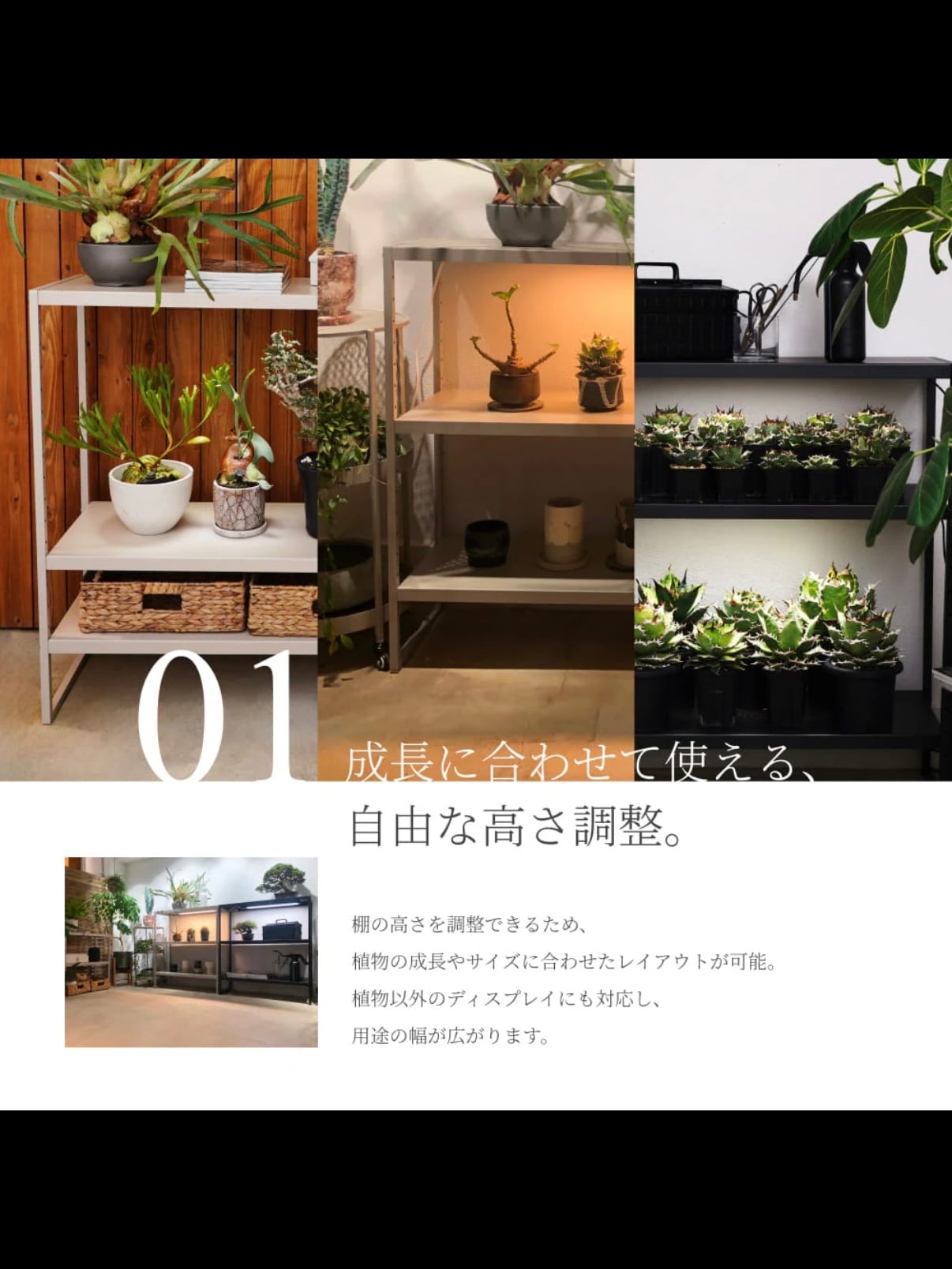 PLANT OPEN RACK 100 | trigger