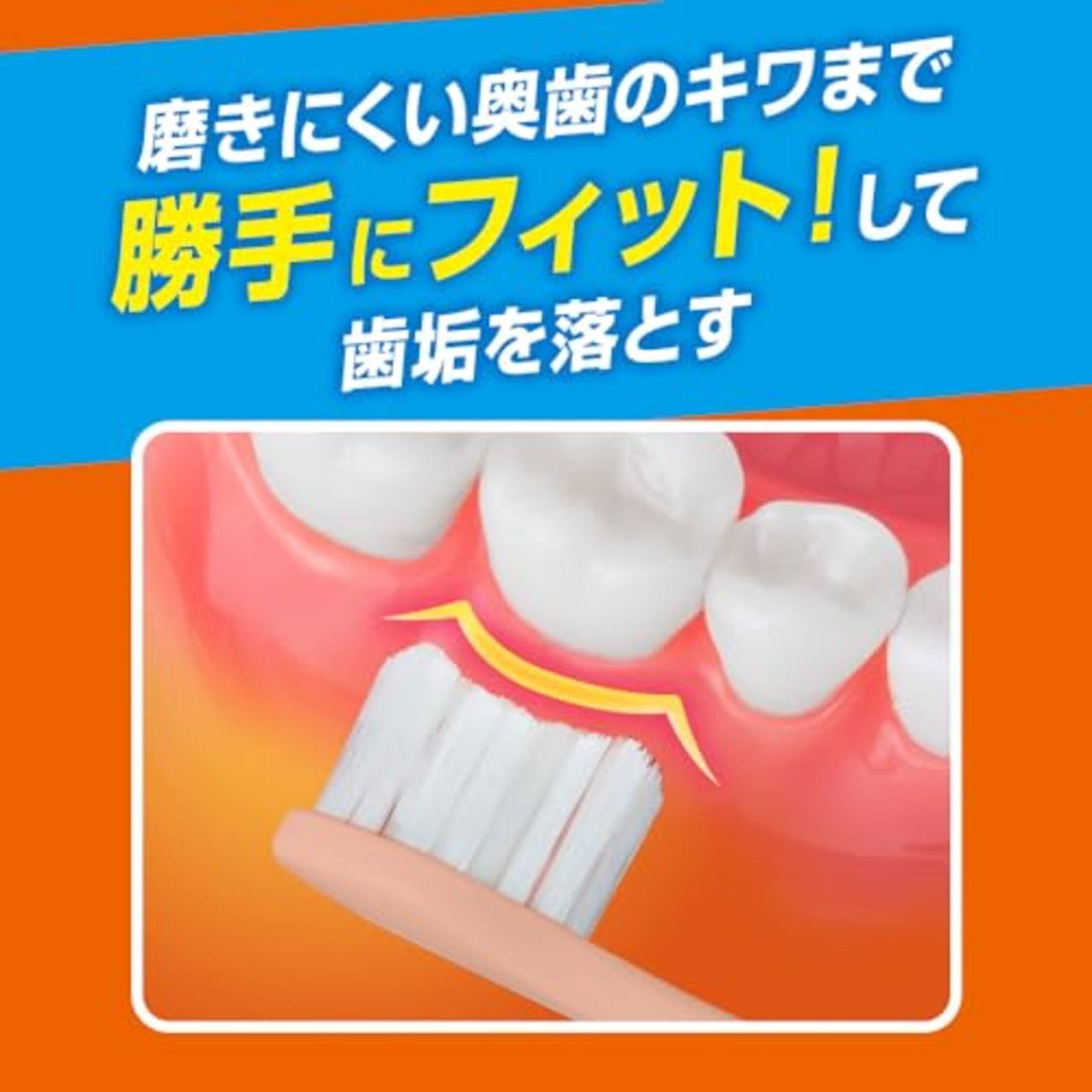 ピュオーラ36500ハブラシ １本１本磨き ふつう