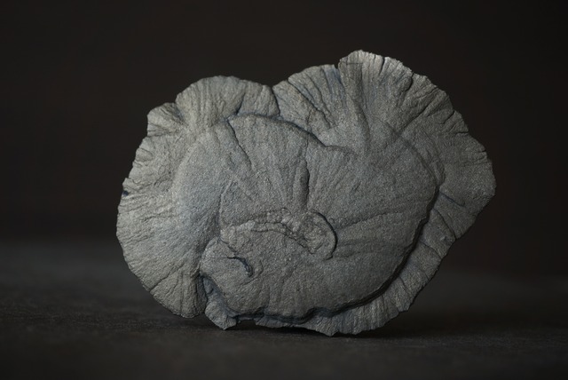 パイライトサン Pyrite Sun 1538