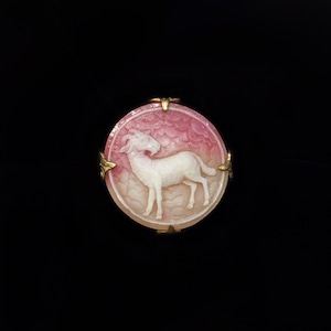 Zodiac sign round big ring: Aries