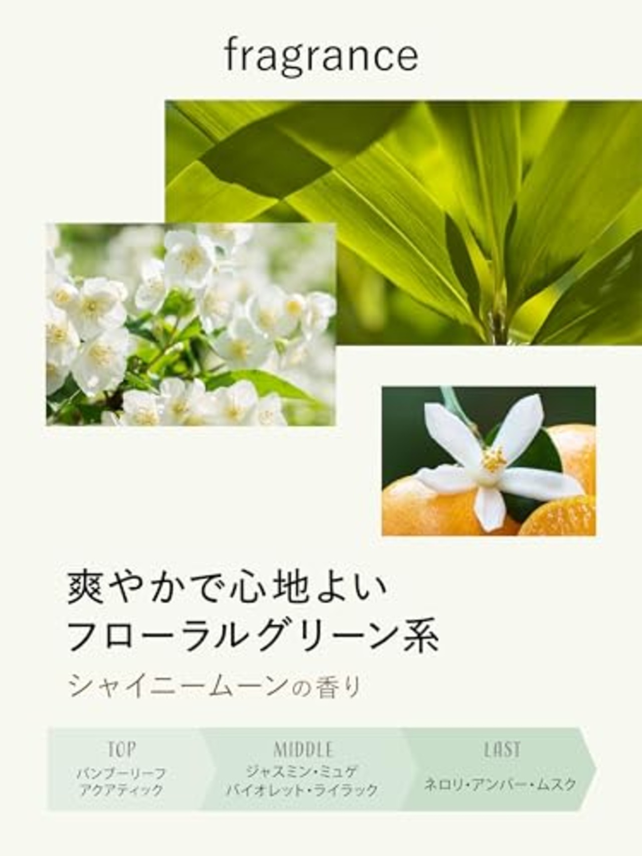 ラボン(Lavons) 柔軟剤入り 洗濯洗剤 シャイニームーン 850g