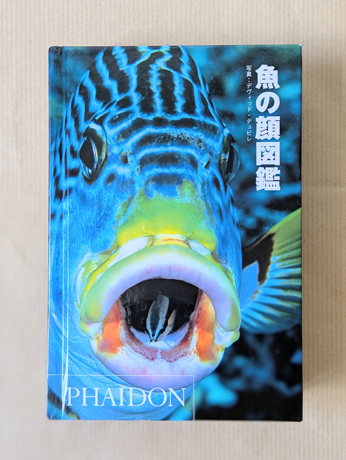魚の顔図鑑 | つきかげ書林