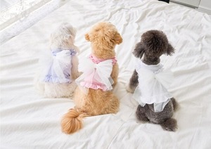 即納【MYLITTLEDOG】Soda Top (white)