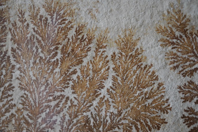 デンドライト 額装 Dendritic limestone 1044