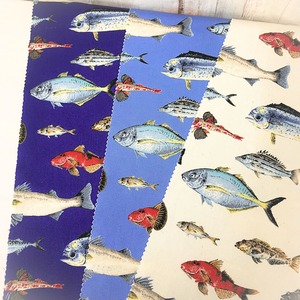 KTS-6562    コットンツイル　／　食用魚