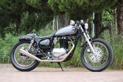 (Rear)Fender strut ESTRELLA