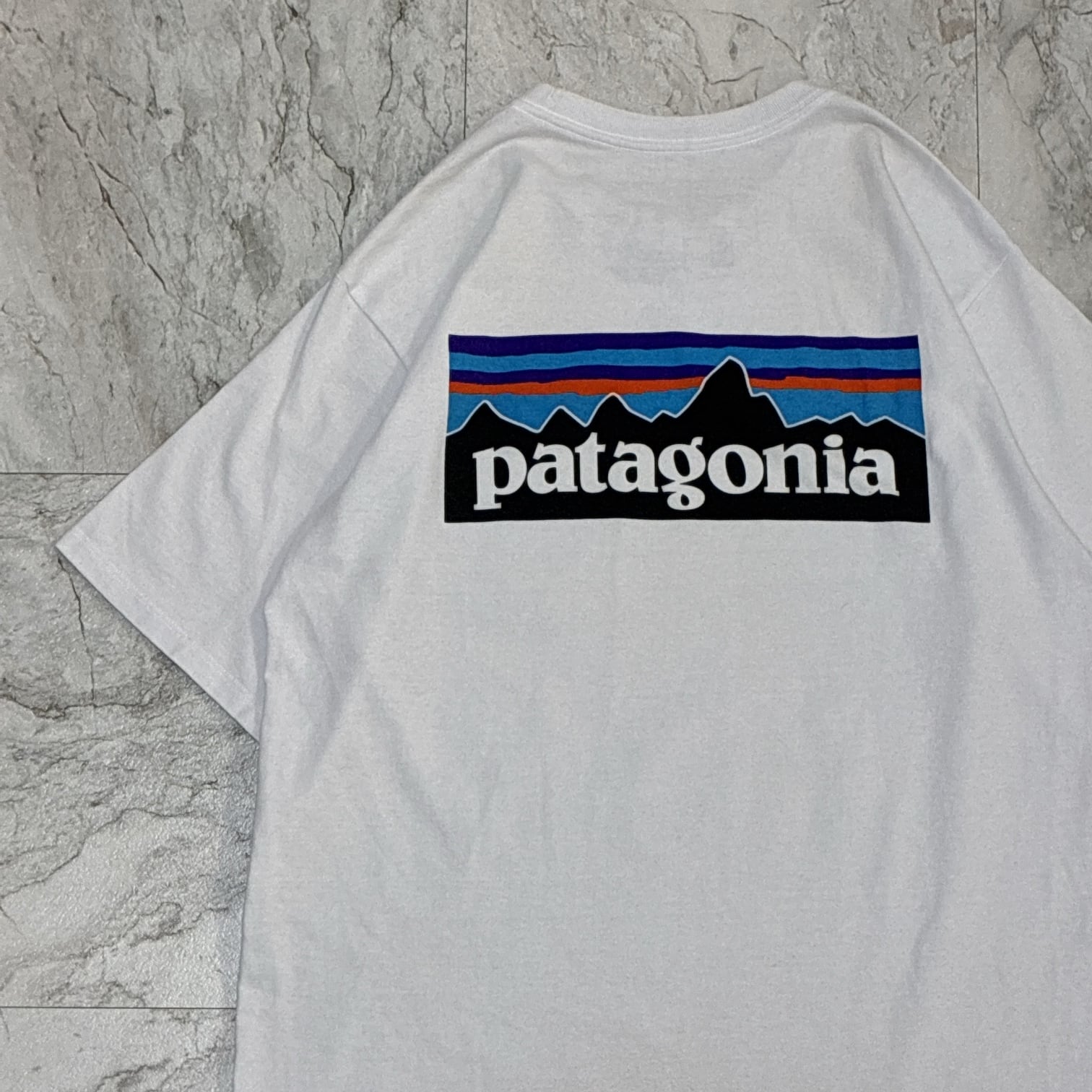 Patagonia パタゴニア Tシャツ 胸ポケット ビッグプリント バック