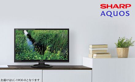 テレビ SGARP LC-19K30-B