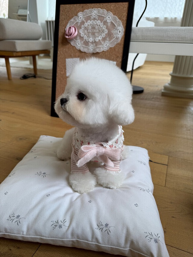 〈即納アイテム〉SICGGU/  フラワーガーデンカーディガン